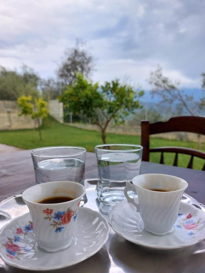 Guest House Gorani Берат Экстерьер фото