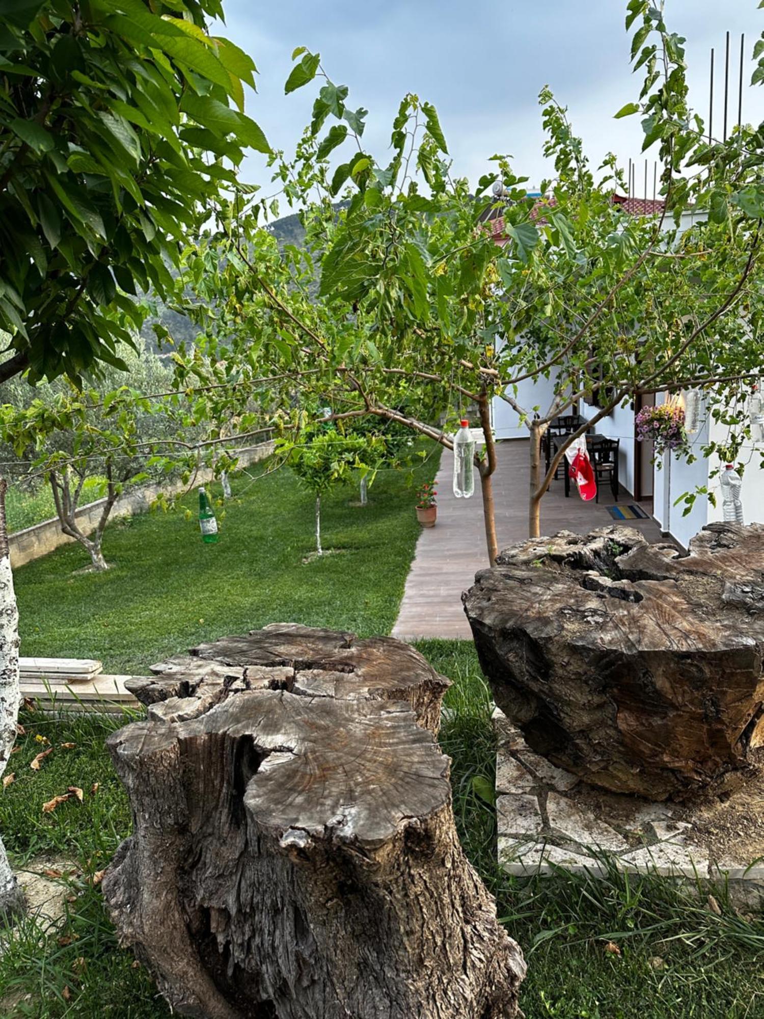 Guest House Gorani Берат Экстерьер фото